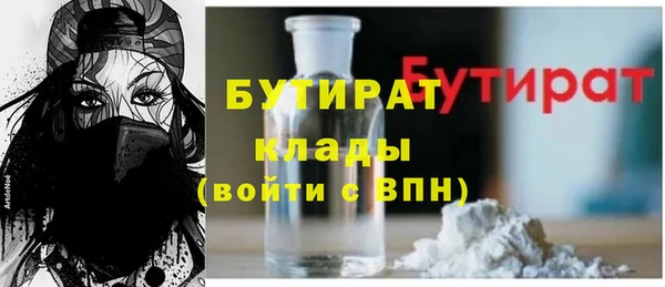твердый Бородино