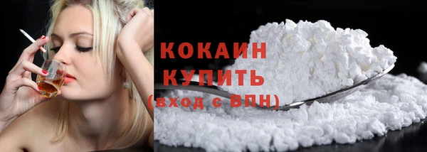 индика Волоколамск