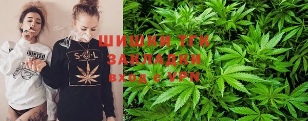 индика Волоколамск