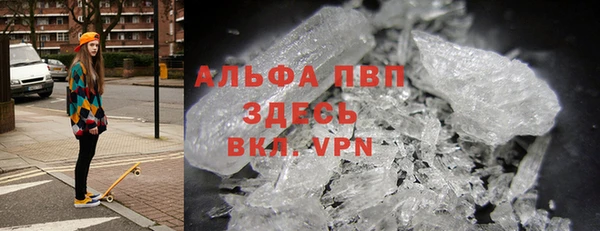 индика Волоколамск