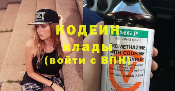 твердый Бородино