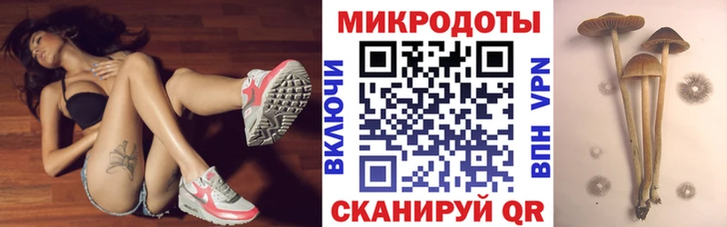 hydra ONION  Мариинский Посад  Псилоцибиновые грибы ЛСД 